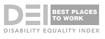 Best Places to Work for  Disability Inclusion,  Disability Equality Index (DEI), 2018