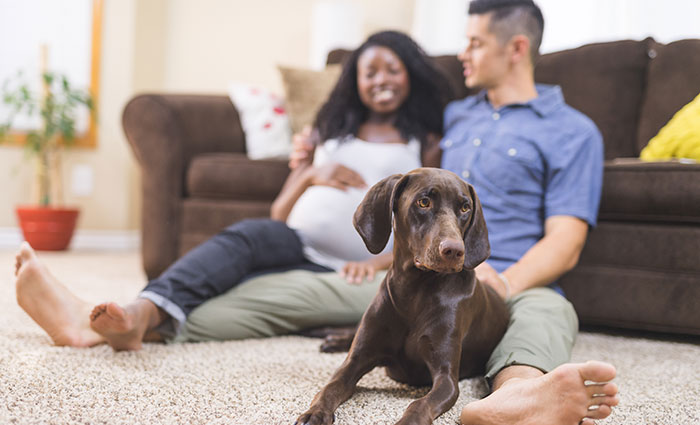 couple at home with dog